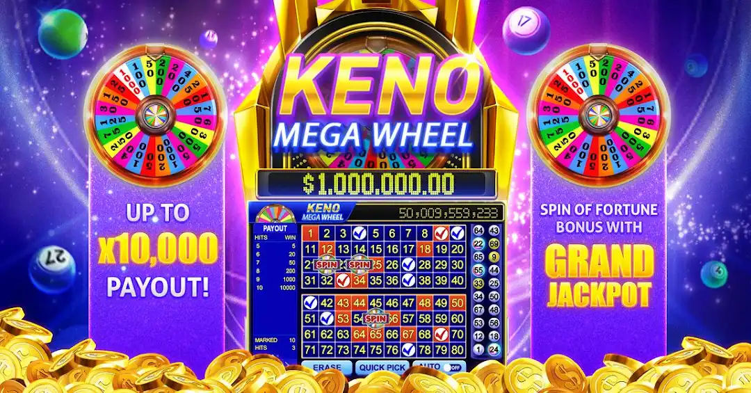 4play bet cassino Android